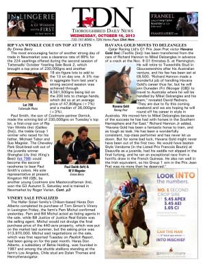 Rip Van Winkle Colt on Top at Tatts Vinery Sale Finalized Havana Gold Moves to Delzangles