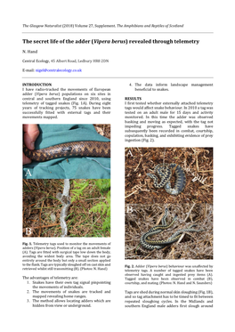 The Secret Life of the Adder (Vipera Berus) Revealed Through Telemetry