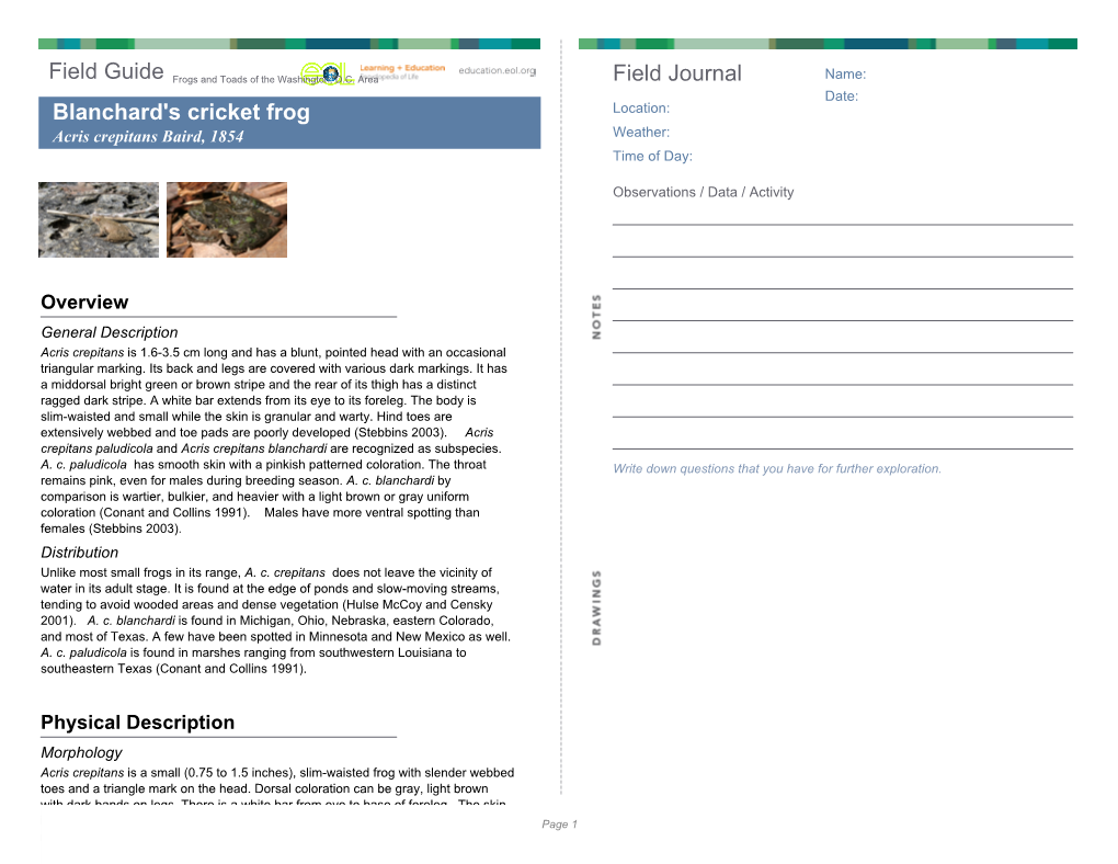 Field Guide Field Journal Blanchard's Cricket Frog