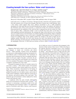 Crawling Beneath the Free Surface: Water Snail Locomotion ͒ Sungyon Lee,1 John W