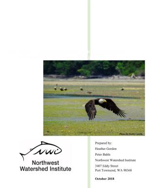 Bald Eagles, Oyster Beds, and the Plainfin Midshipman: Ecological Intertidal Relationships in Dabob Bay