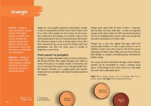 Orange | Colour Choices Booklet