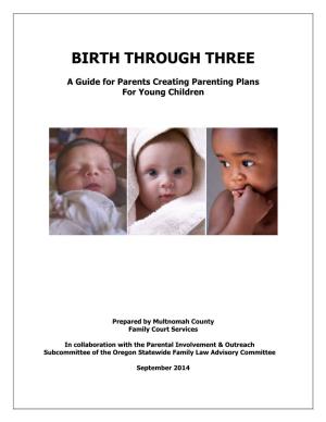 2014 Zero to Three Parenting Plan Guide (PDF)