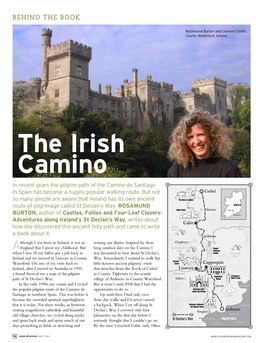 The Irish Camino