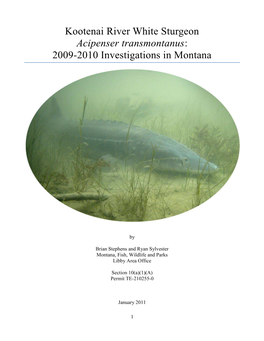 MFWP 2010 Section 10 Report Kootenai River White Sturgeon