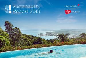 Sustainability Report 2019 Introduction