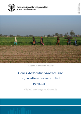 Gross Domestic Product and Agriculture Value Added 1970–2019 Global and Regional Trends Gross Domestic Product and Agriculture Value Added 1970–2019