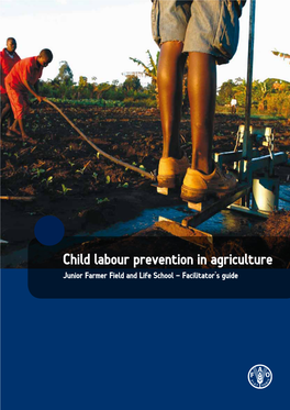 Child Labour Prevention in Agriculture