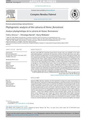 Phylogenetic Analysis of the Calvaria of Homo Floresiensis