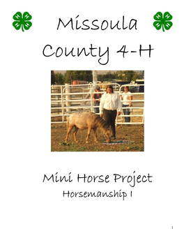 Mini Horse Project Horsemanship I