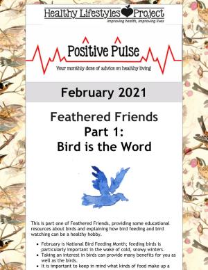 February 2021: Feathered Friends