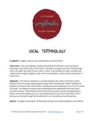 Vocal Terminology