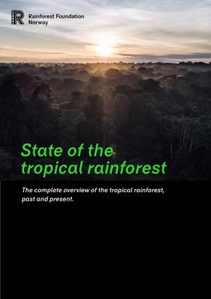 State of the Tropical Rainforest