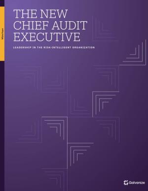 The New Chief Audit Executive