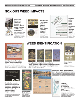 Noxious Weed Impacts Weed Identification