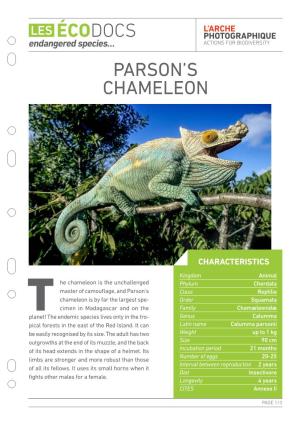 Parson's Chameleon