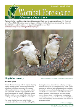 Newsletter Autumn Is Here and the Migratory Birds Are on Their Way to Warmer Climes
