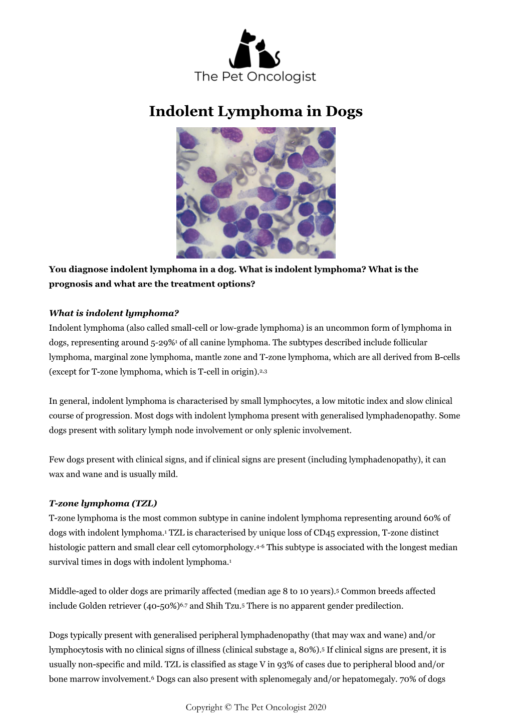 Indolent Lymphoma in Dogs