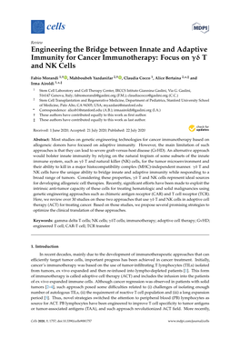 Focus on Γδ T and NK Cells