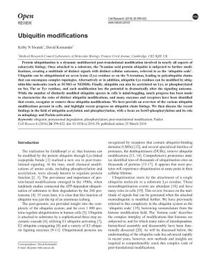 Ubiquitin Modifications