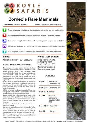 Borneo's Rare Mammals Tour