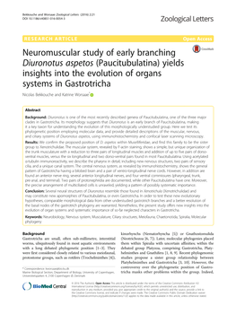 Neuromuscular Study of Early Branching Diuronotus Aspetos