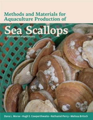 Sea Scallops (Placopecten Magellanicus)