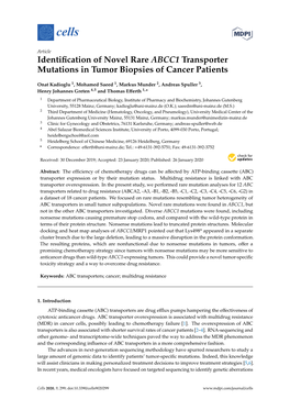 Identification of Novel Rare ABCC1 Transporter Mutations in Tumor