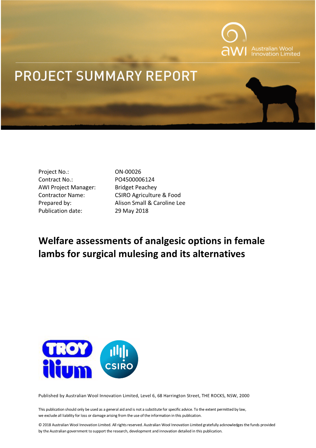 Welfare Assessments of Analgesic Options in Female Lambs for Surgical Mulesing and Its Alternatives