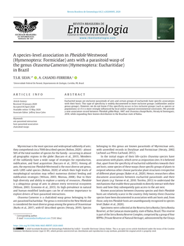 Ants with a Parasitoid Wasp of the Genus Orasema Cameron (Hymenoptera: Eucharitidae) in Brazil