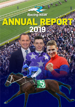 2019 Annual Report