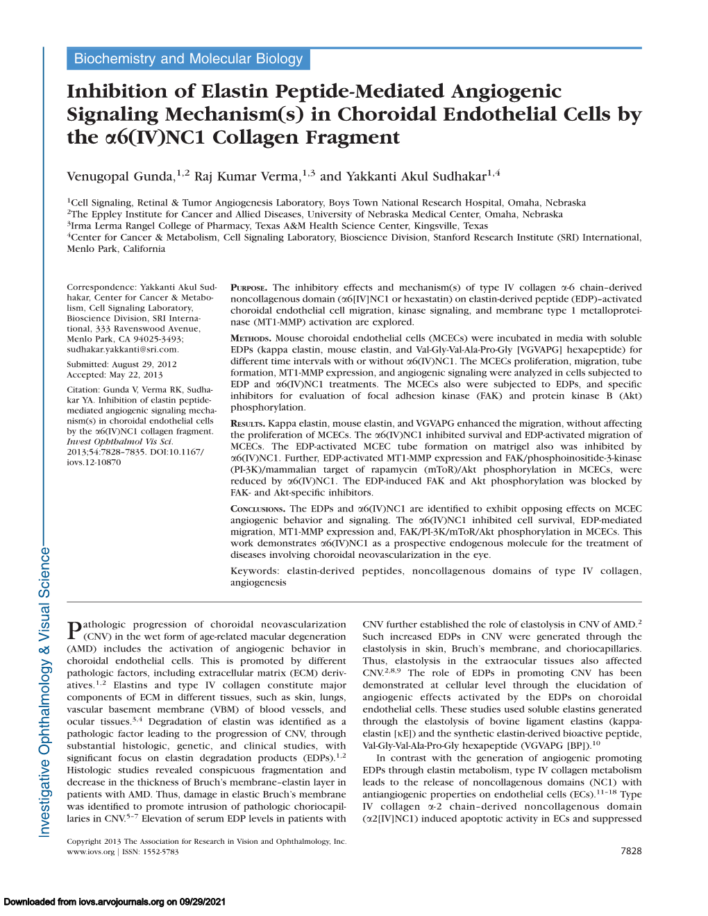 In Choroidal Endothelial Cells by the A6(IV)NC1 Collagen Fragment