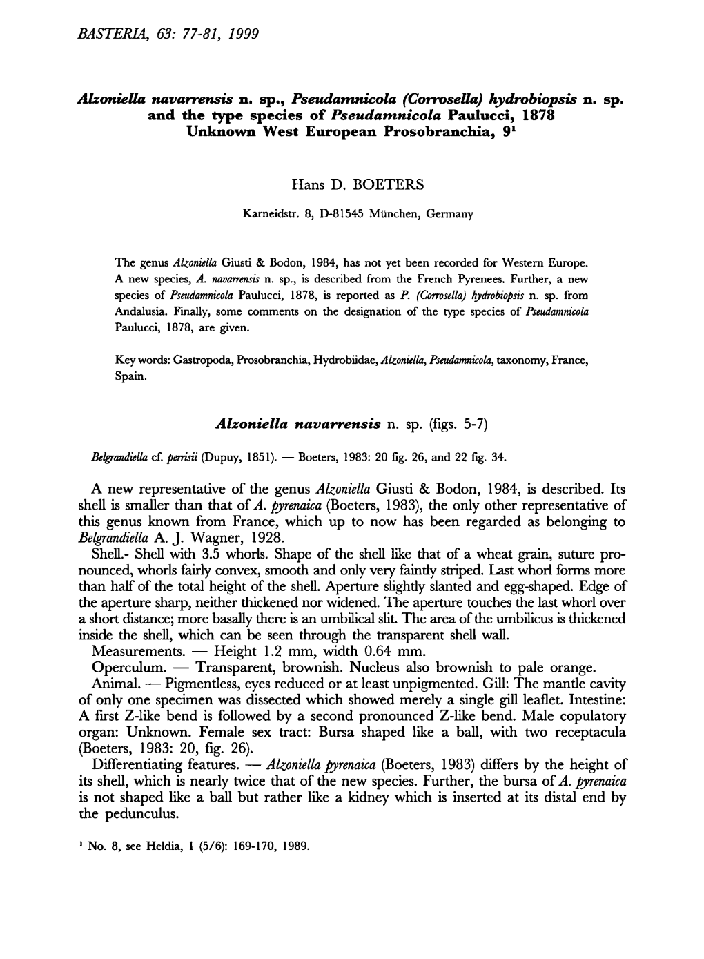 BASTERIA, (Corrosella) Hydrobiopsis Type