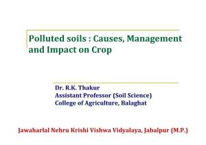 Polluted Soils : Causes, Management and Impact on Crop