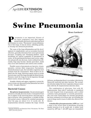 Swine Pneumonia