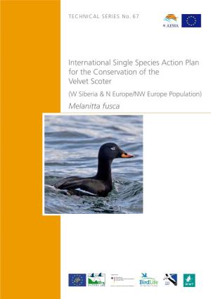 International Single Species Action Plan for the Conservation of the Velvet Scoter Melanitta Fusca