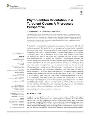 Phytoplankton Orientation in a Turbulent Ocean: a Microscale Perspective