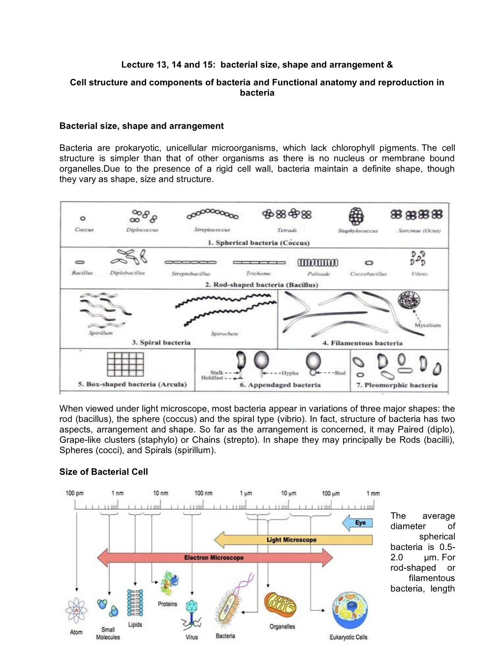 Bacterial Size, Shape and Arrangement & Cell Structure And