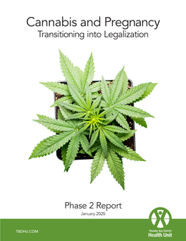 Cannabis and Pregnancy Transitioning Into Legalization