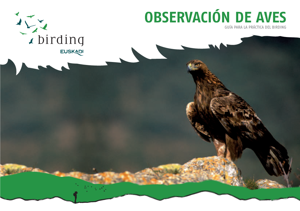 Birding En Salburua