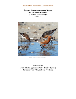 Species Status Assessment Report for the Rufa Red Knot (Calidris Canutus Rufa) Version 1.1