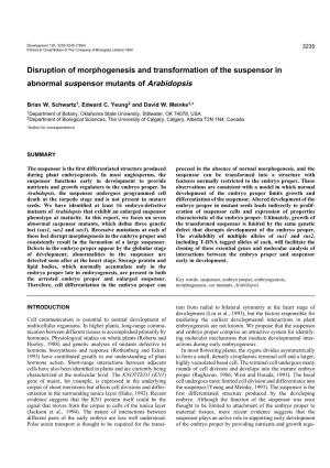 Disruption of Morphogenesis and Transformation of the Suspensor in Abnormal Suspensor Mutants of Arabidopsis