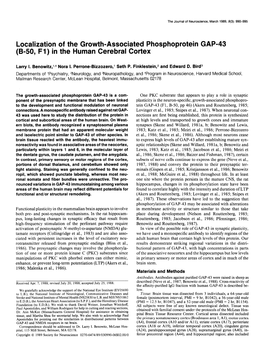 Localization of the Growth-Associated Phosphoprotein GAP-43 (B-50, Fl) in the Human Cerebral Cortex