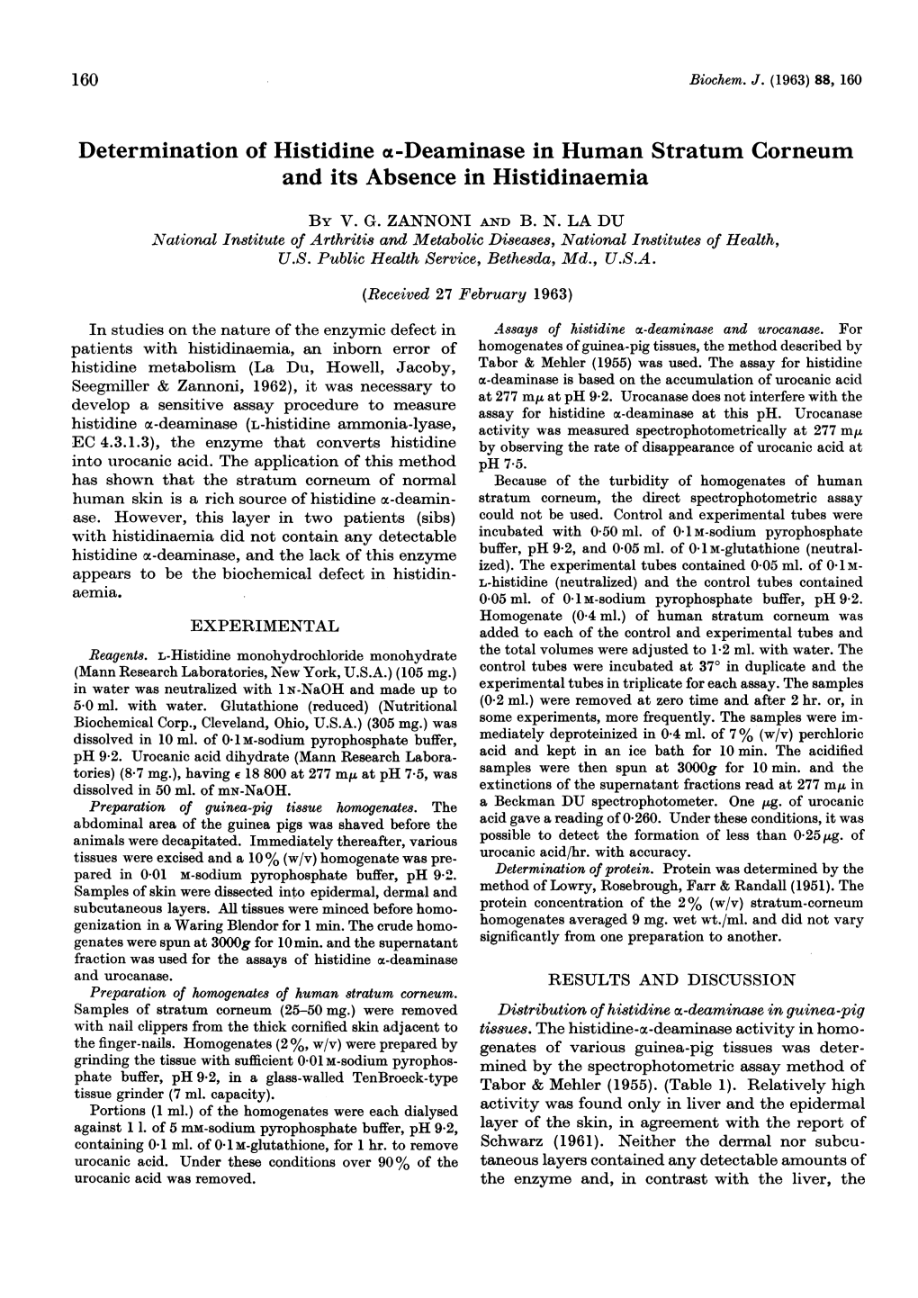 Determination of Histidine A-Deaminase in Human Stratum Corneum and Its Absence in Histidinaemia