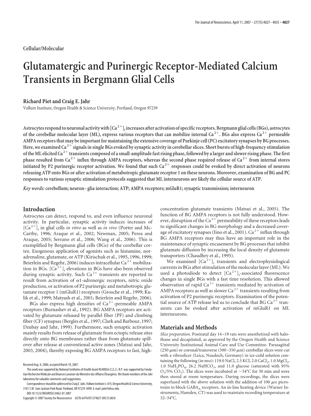 Glutamatergic and Purinergic Receptor-Mediated Calcium Transients in Bergmann Glial Cells