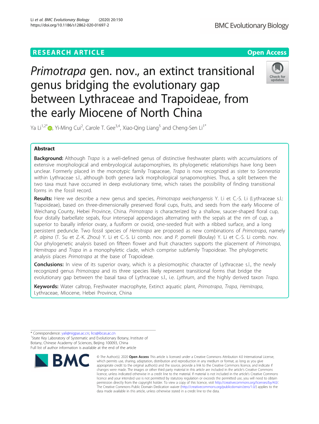 Primotrapa Gen. Nov., an Extinct Transitional Genus Bridging The