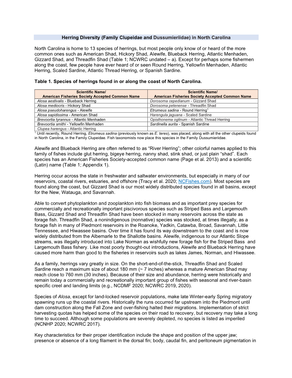 Herring Diversity (Family Clupeidae and Dussumieriidae) in North Carolina