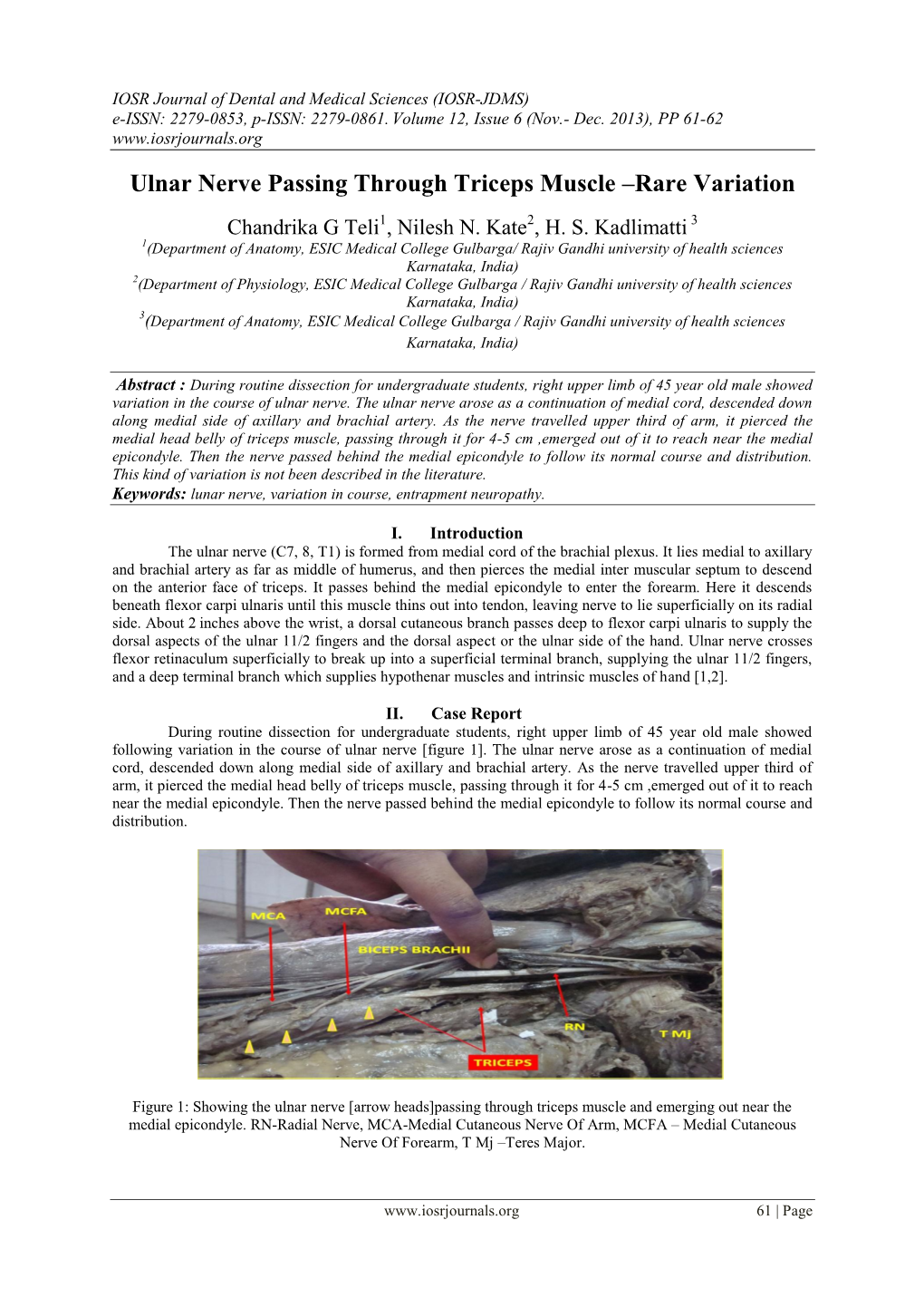 Ulnar Nerve Passing Through Triceps Muscle –Rare Variation