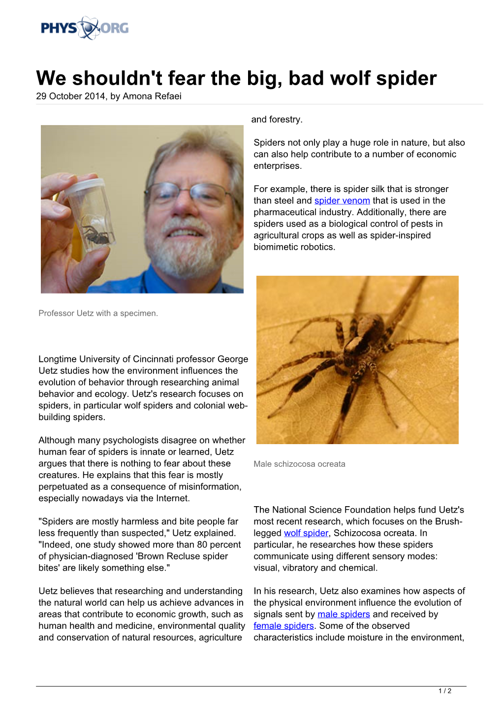 We Shouldn't Fear the Big, Bad Wolf Spider 29 October 2014, by Amona Refaei