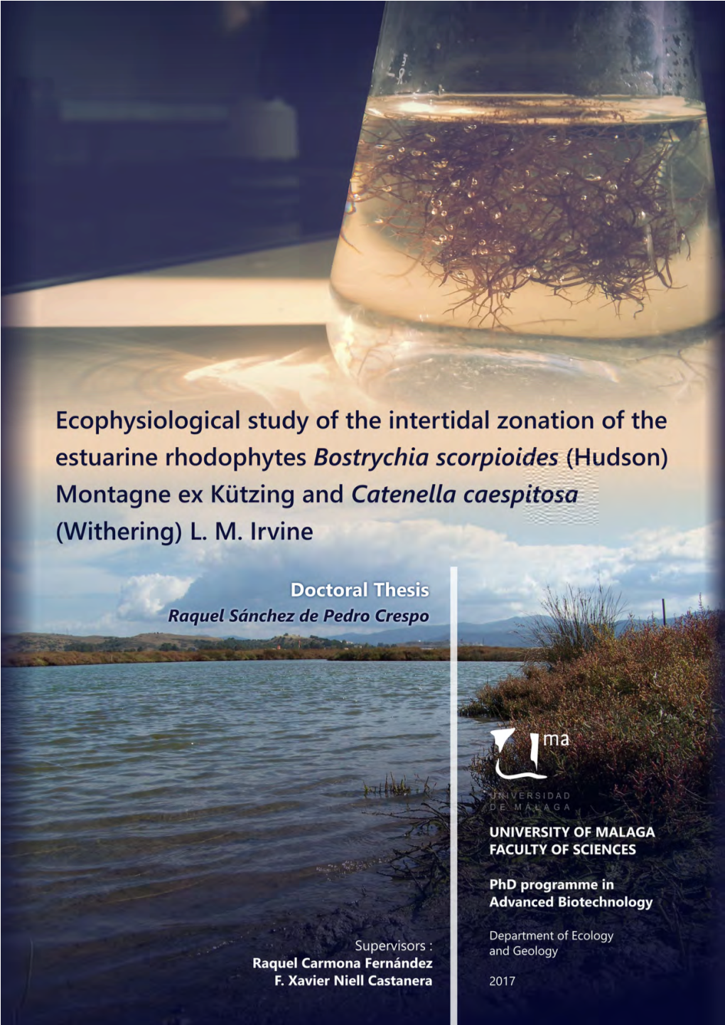 Ecophysiological Study of the Intertidal Zonation of the Estuarine Rhodophytes Bostrychia Scorpioides